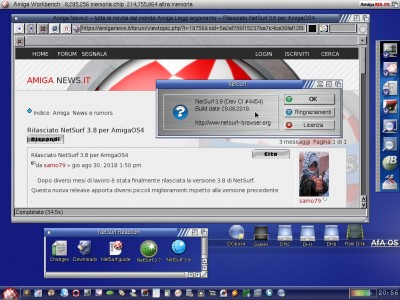 NetSurf 3.9.jpg