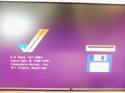 2012-01-06 14.32.31.jpg